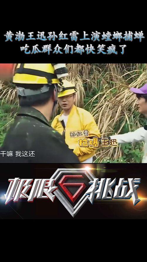 螳螂吃瓜,自然界的生存智慧