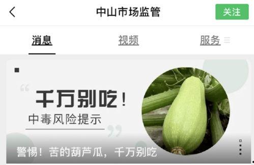 毒瓜速吃,揭秘“毒瓜速吃”的神奇魅力