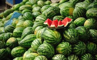 吃瓜变胖,吃瓜也能变胖？揭秘瓜果热量背后的真相