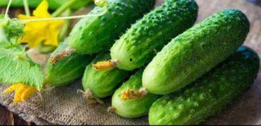 弯弯不弯吃瓜,揭秘网络热词背后的文化现象