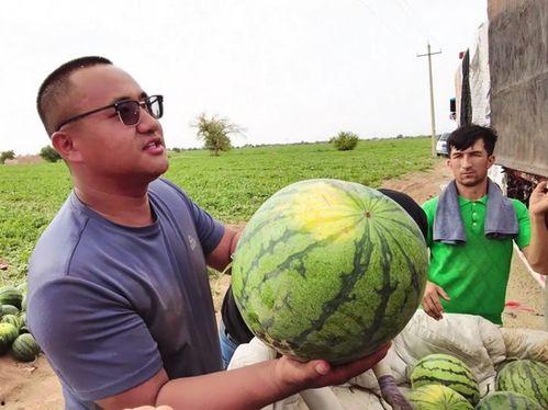 茂茂吃瓜,揭秘娱乐圈幕后故事