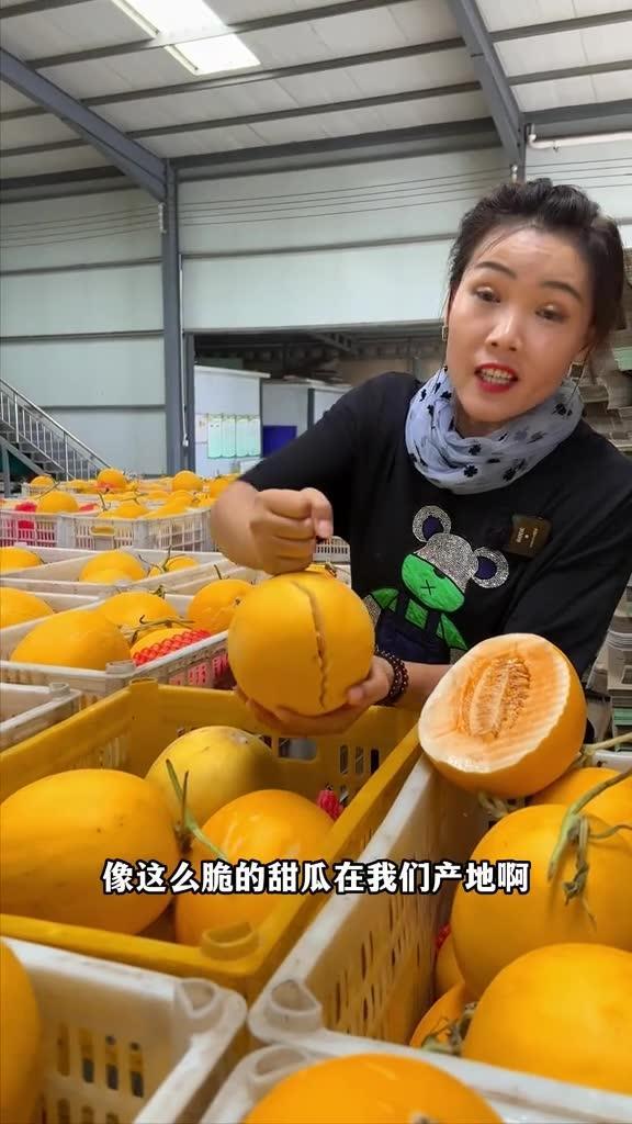 吃蜜瓜依然香甜,品味夏日清新滋味