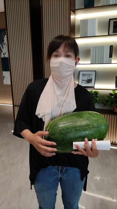 刘大瓜吃骨髓,一场味蕾与健康的完美邂逅