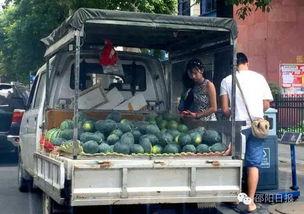 吃瓜邵阳,揭秘当地美食文化