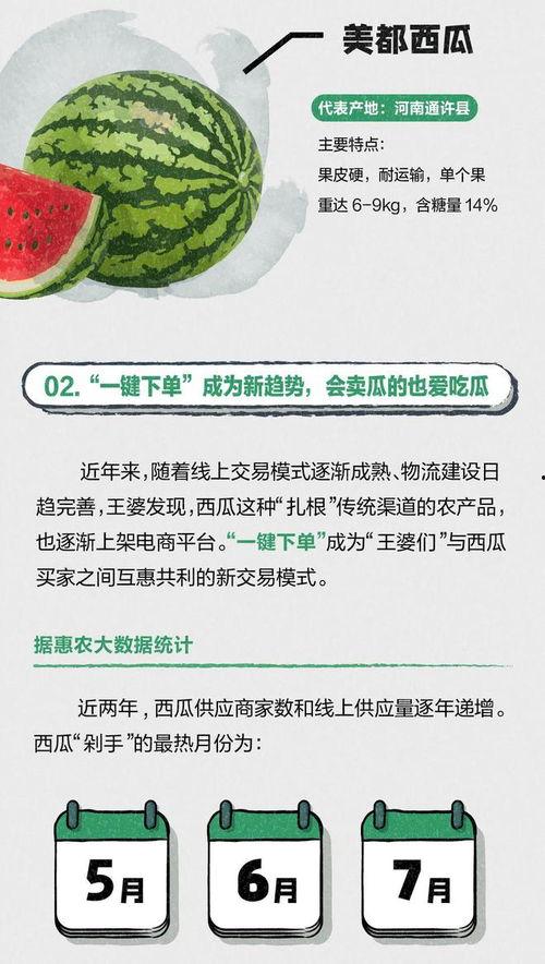 吃瓜大赛网站,揭秘娱乐圈幕后故事，带你领略明星们的真实生活