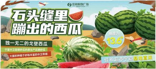 吃瓜大赛网站,揭秘娱乐圈幕后故事，带你领略明星们的真实生活