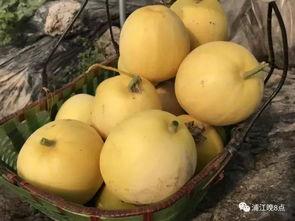 吃桃吃瓜行吗,吃桃吃瓜，清凉一夏