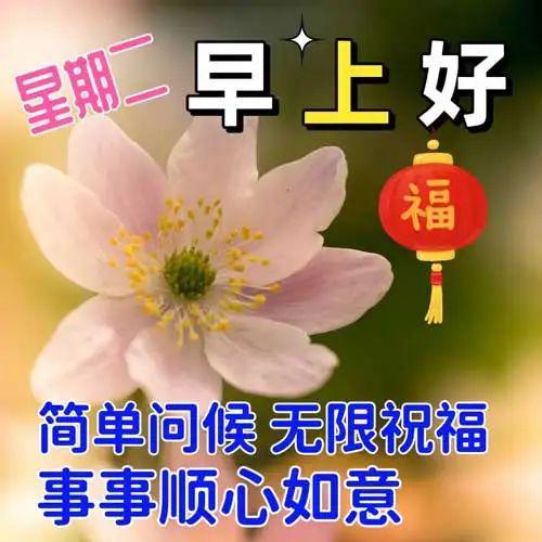 天天吃瓜早安图片大全,天天吃瓜早安，开启欢乐一天