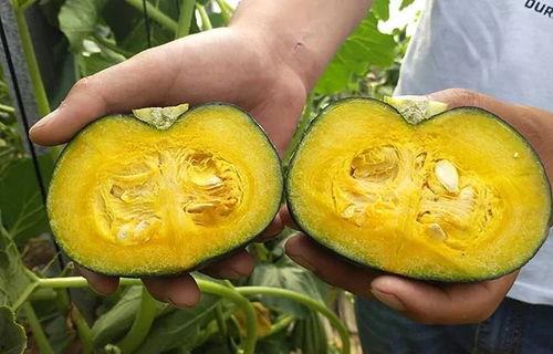 贝贝瓜怎样做着吃,探索美味新吃法