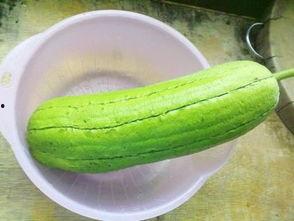 水瓜和能一起吃吗,揭秘搭配禁忌