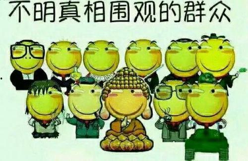 吃瓜宗门全集免费,揭秘神秘门派背后的风云变幻