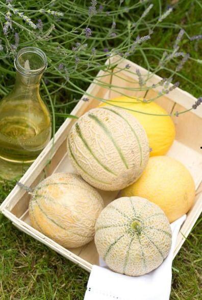 吃瓜吃多了好饱,揭秘“吃瓜大胃王”的奇妙体验