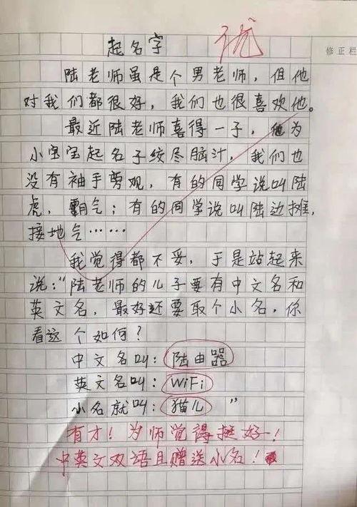 吃大瓜作文,一场关于“吃大瓜”的狂欢盛宴