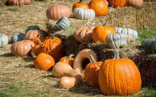 6.10吃瓜事件,揭秘网络舆论的风云变幻