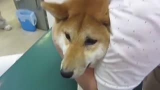 微力无边吃瓜,吃瓜群众眼中的娱乐圈风云