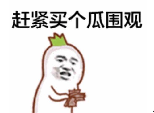 遵义吃瓜群众视频,揭秘视频背后的故事与真相