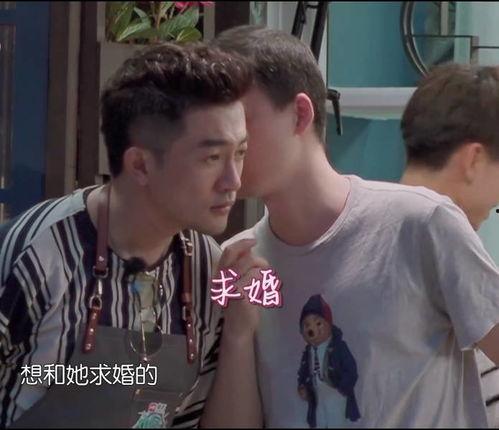 求婚吃瓜视频,甜蜜画面引网友热议