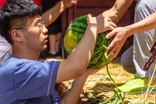 阿巴嘎旗吃瓜视频,揭秘草原美食风情