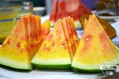 西固区吃瓜,品味夏日田园风情