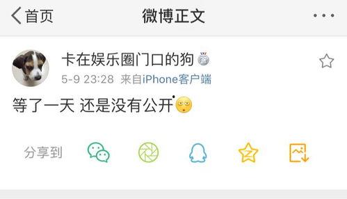 吃瓜社会最新爆料,最新爆料事件深度解析