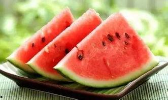 校园吃瓜小说,瓜田里的那些事儿