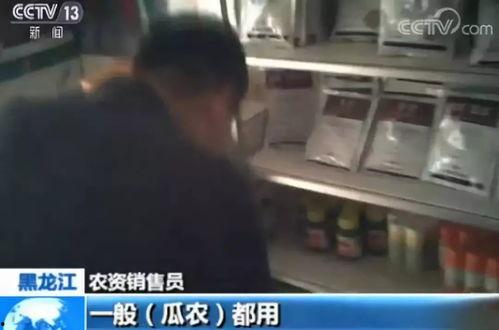 重庆吃瓜事件曝光视频